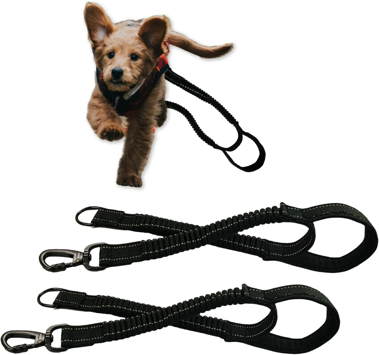 Bungee Dog Leash Extender 2-Pack Shock Absorbing Lead Extension Attachment with Reflective Threads and Control Handle for Safety and Comfort, 23.6 inches