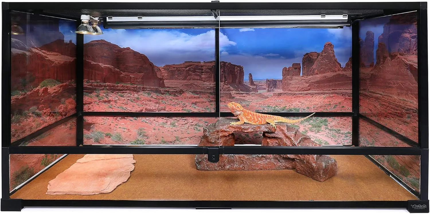 Carolina Custom Cages, 48Lx18Wx24H Tall Extra-Long Terrarium; Easy Assembly