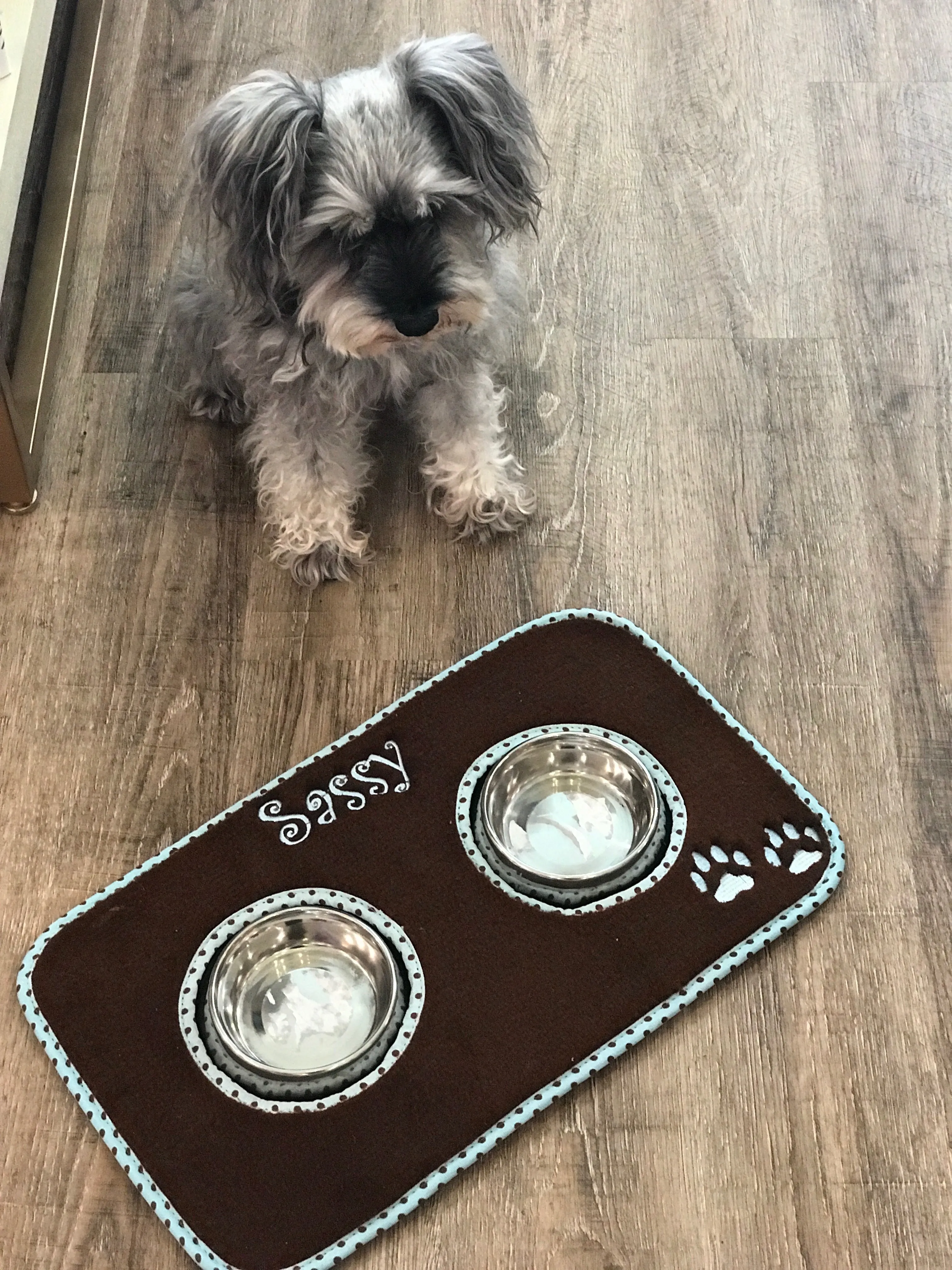 Custom Pet Mat