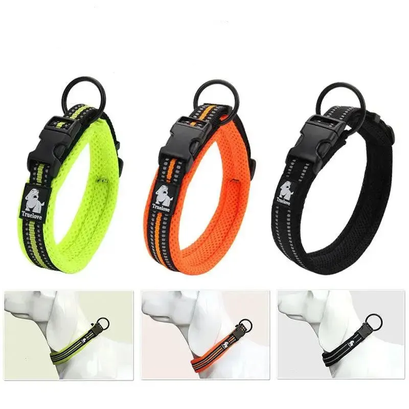 Dog Collar Teddy Pet Products