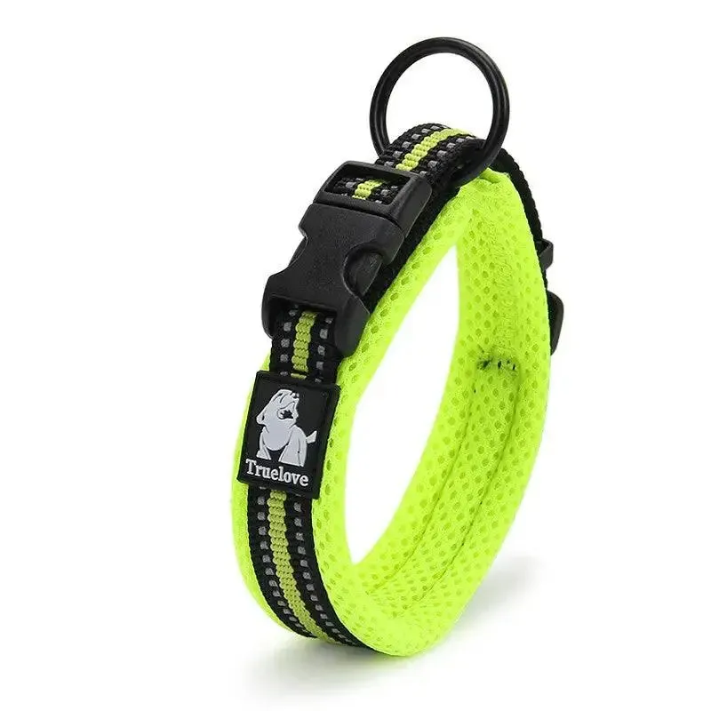 Dog Collar Teddy Pet Products