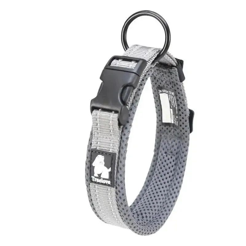 Dog Collar Teddy Pet Products