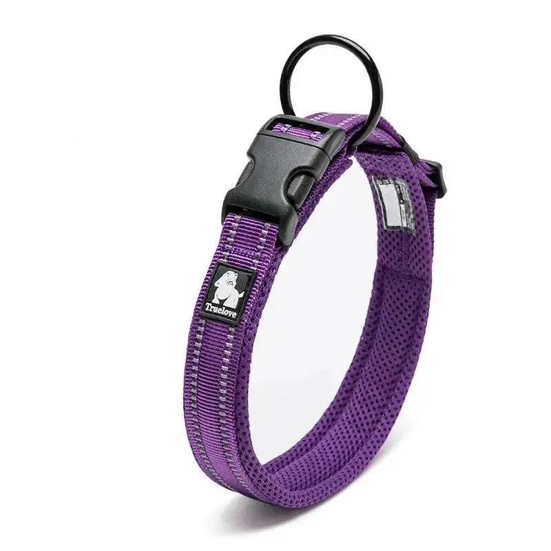 Dog Collar Teddy Pet Products