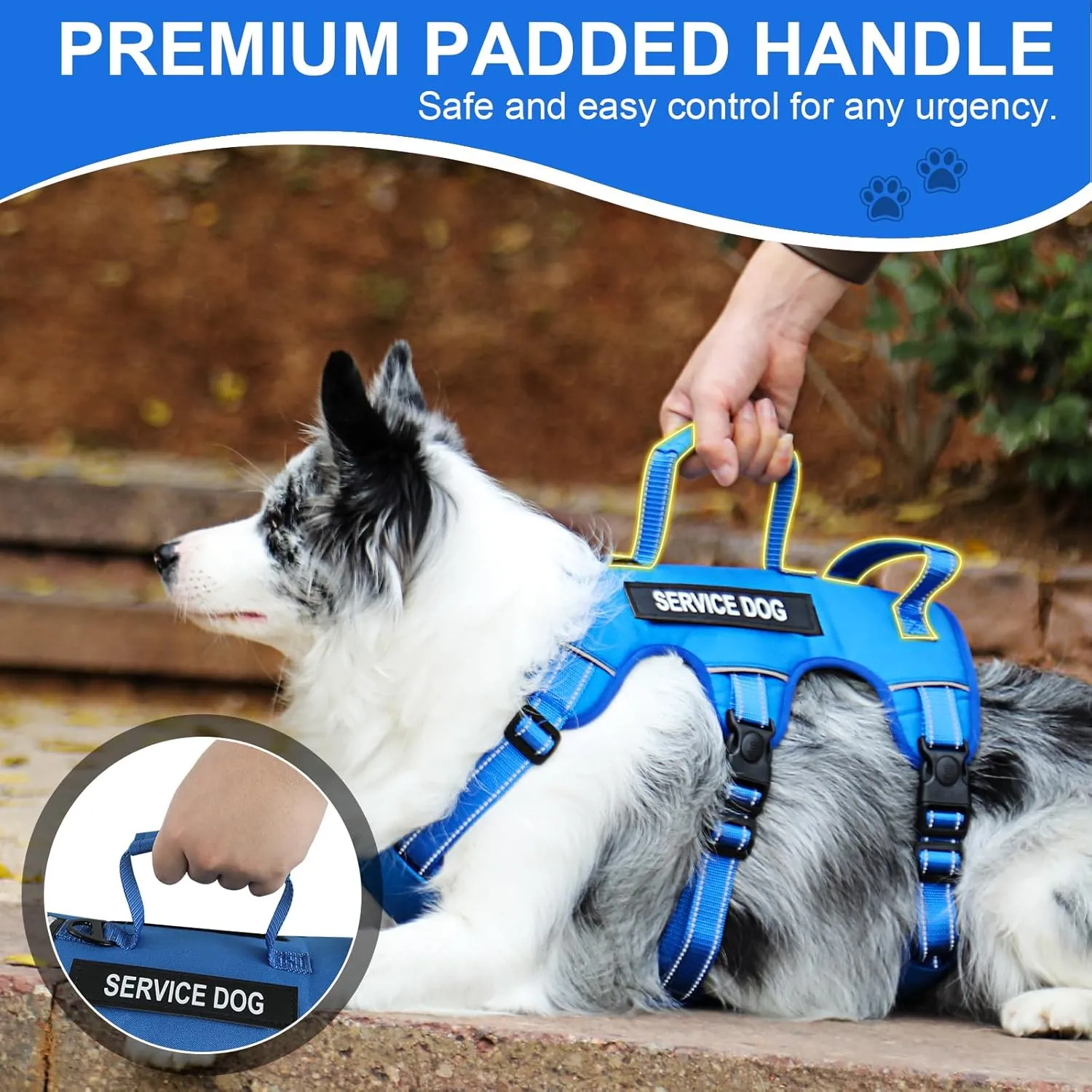 Escape Proof Dog Harness for Large Medium Sized Dogs Six Point Adjustable, Service Dog Vest Harness and Leash Set, No Pull Dogs Harnesses with Handle, XL Dog Harnesses for Walking(Blue, XL)