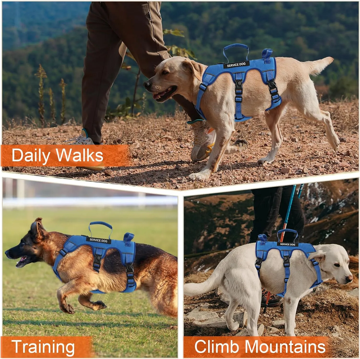 Escape Proof Dog Harness for Large Medium Sized Dogs Six Point Adjustable, Service Dog Vest Harness and Leash Set, No Pull Dogs Harnesses with Handle, XL Dog Harnesses for Walking(Blue, XL)