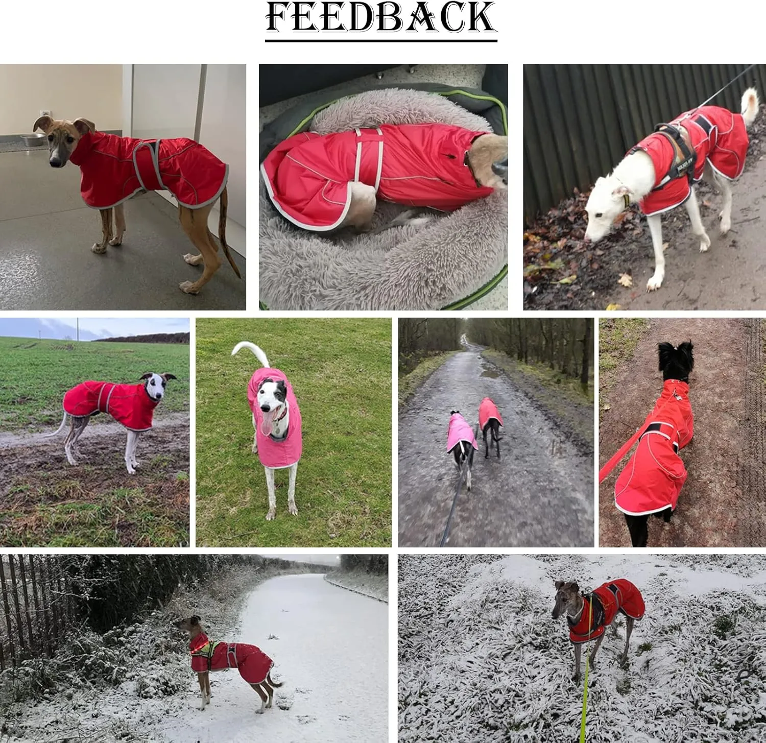 Greyhound Winter Coat, Whippet Coat with Padded Fleece Lining, Water Resistant Dog Jacket with Adjustable Bands and Reflective - Navy - Small