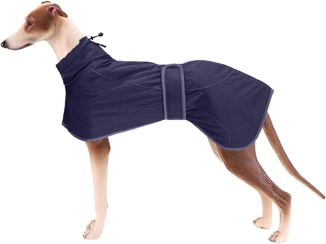 Greyhound Winter Coat, Whippet Coat with Padded Fleece Lining, Water Resistant Dog Jacket with Adjustable Bands and Reflective - Navy - Small