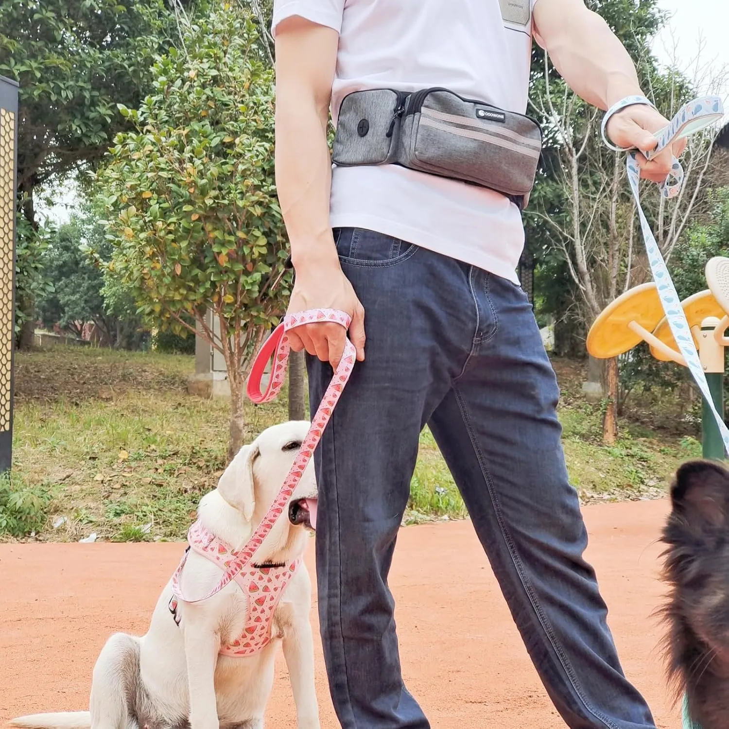Hands Free Dog Leash with Dog Walking Fanny Pack for Large Medium Small Dogs, Heavy Duty Durable Reflective Waist Bungee Leash for Dog Training,Night Walking Running Jogging Hiking
