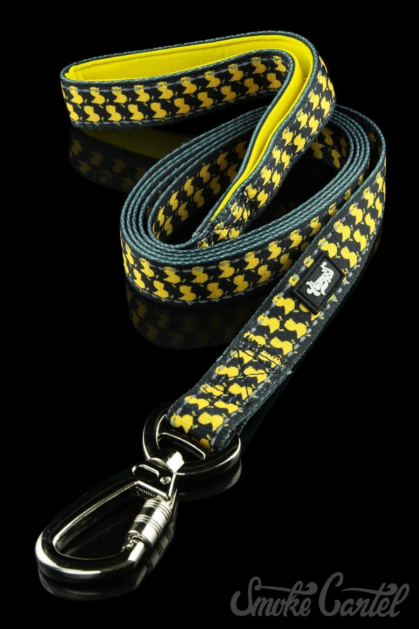 HeadyPet 6 Foot Leash