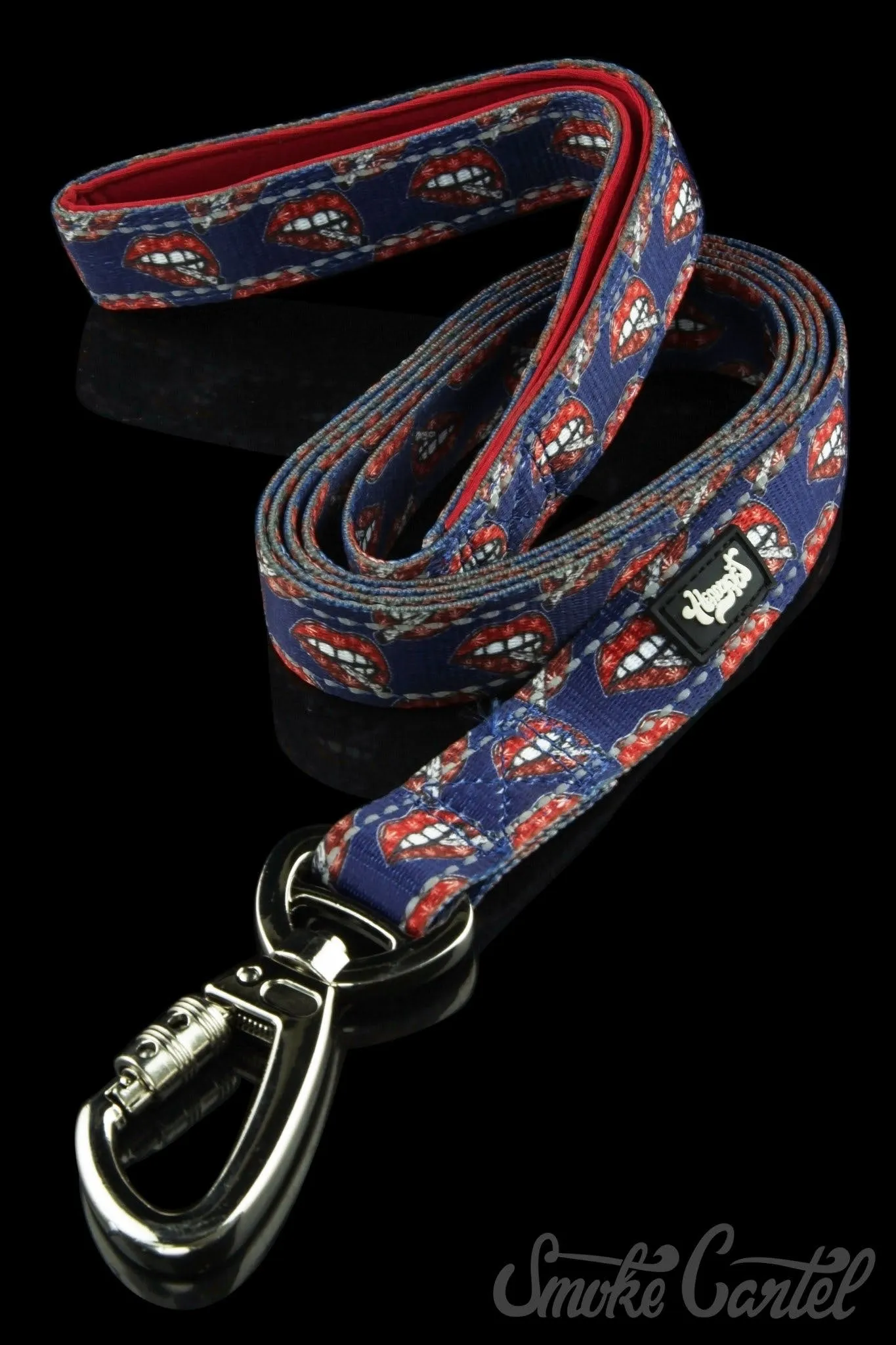 HeadyPet 6 Foot Leash