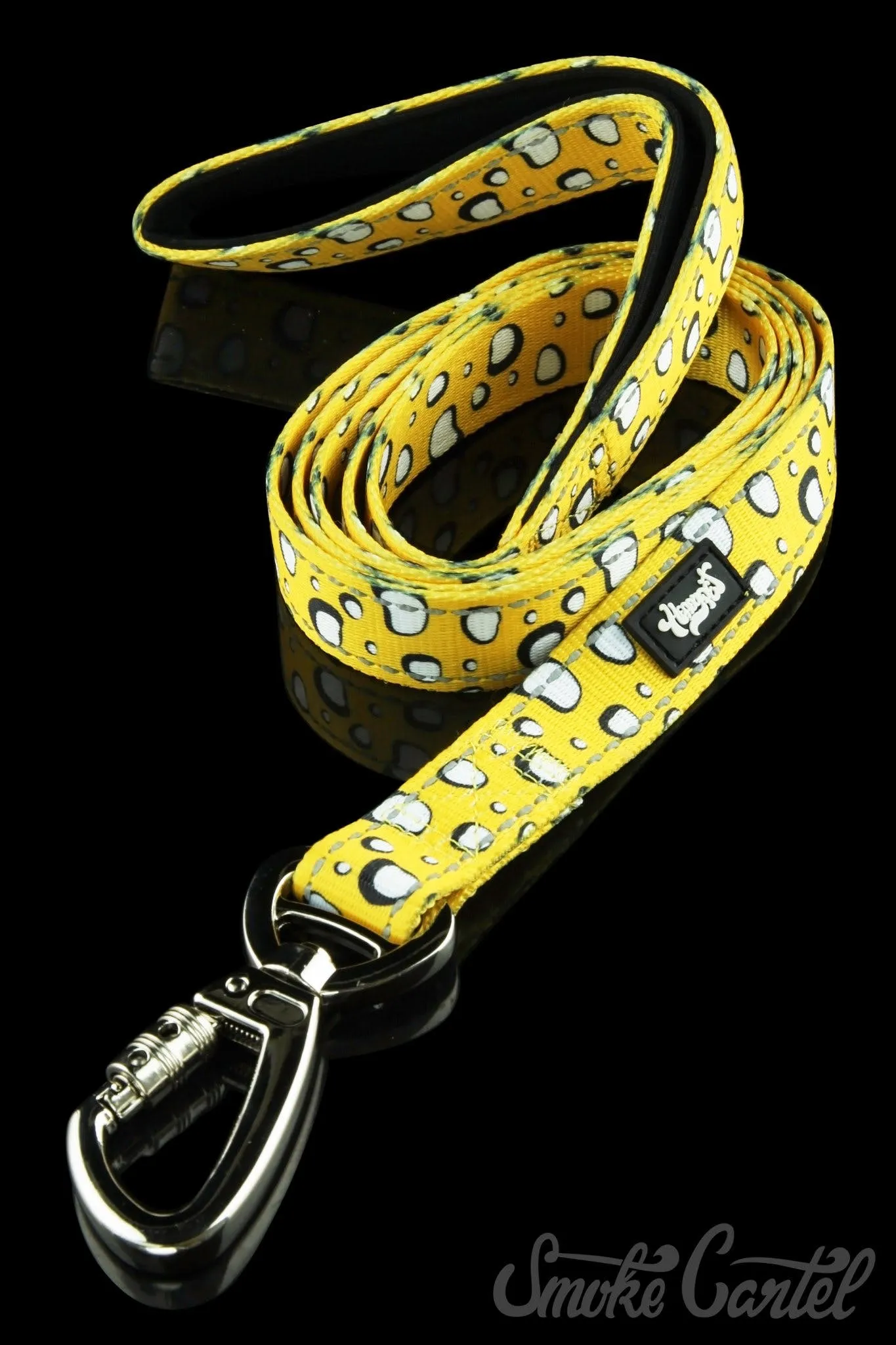 HeadyPet 6 Foot Leash