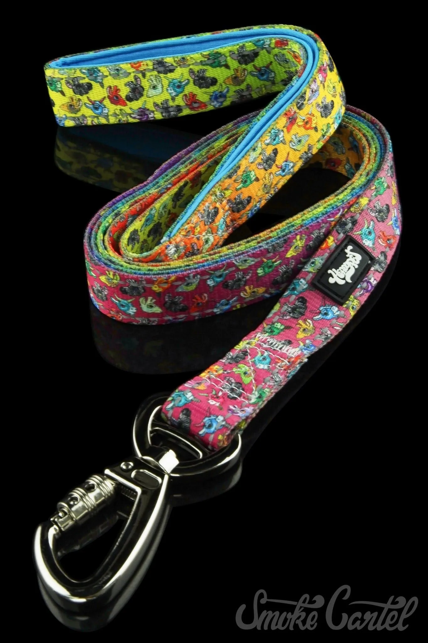 HeadyPet 6 Foot Leash