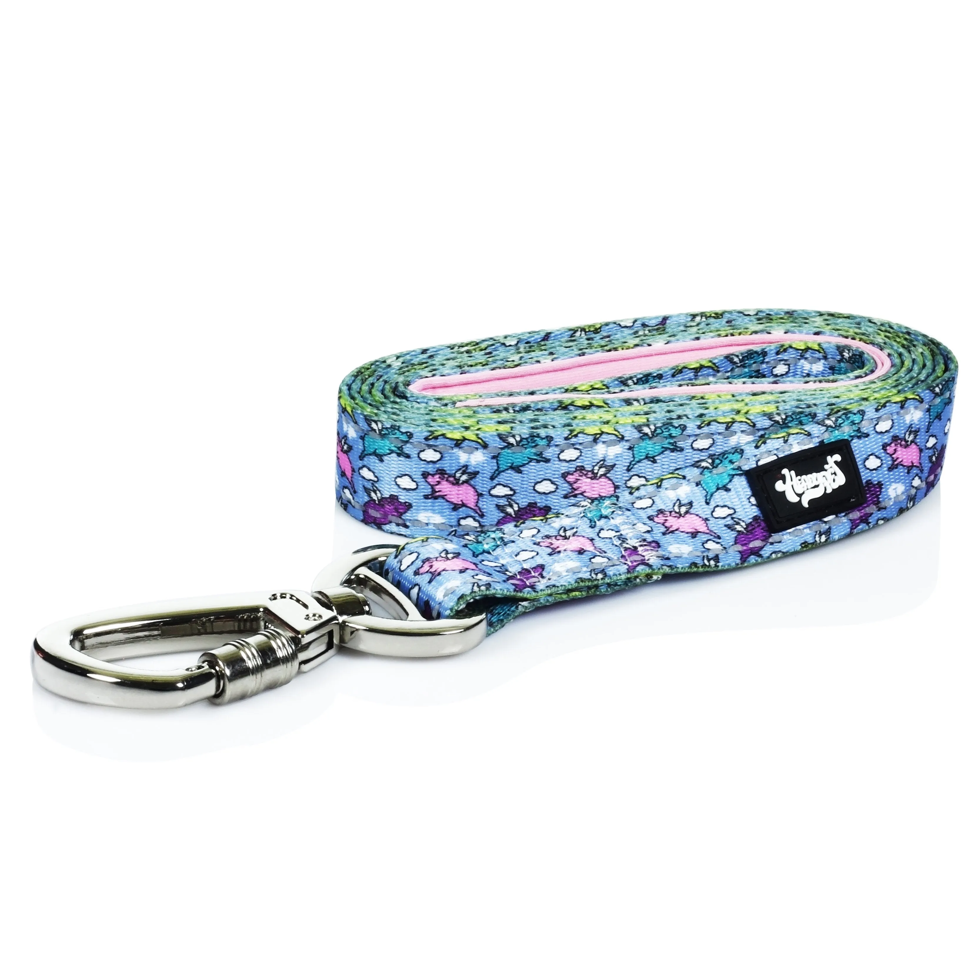 HeadyPet 6 Foot Leash