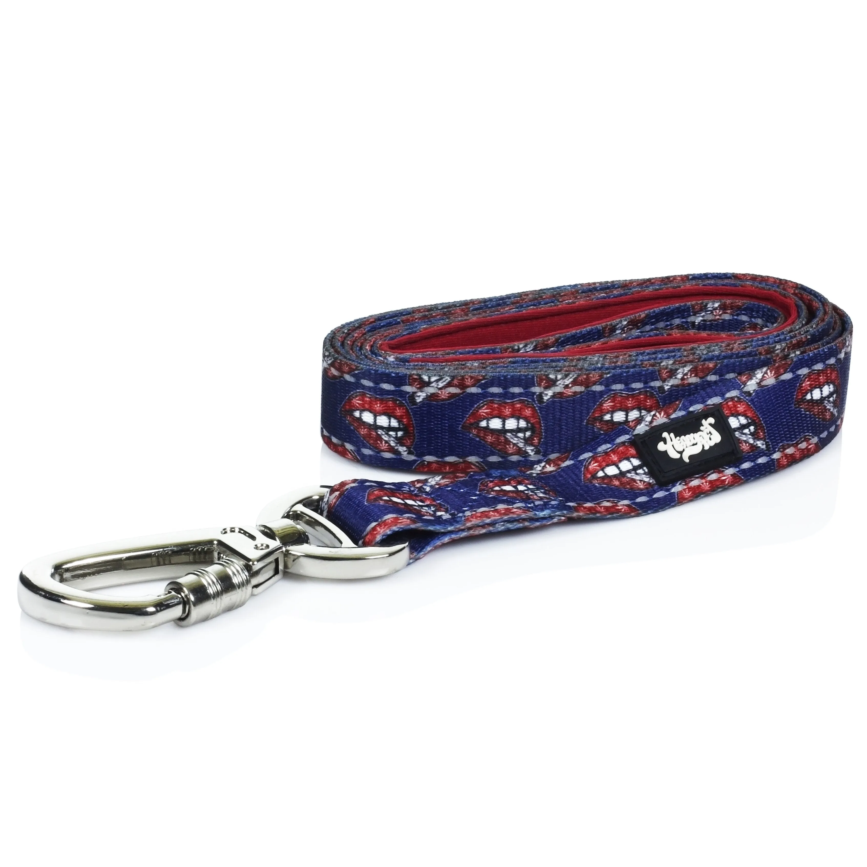 HeadyPet 6 Foot Leash