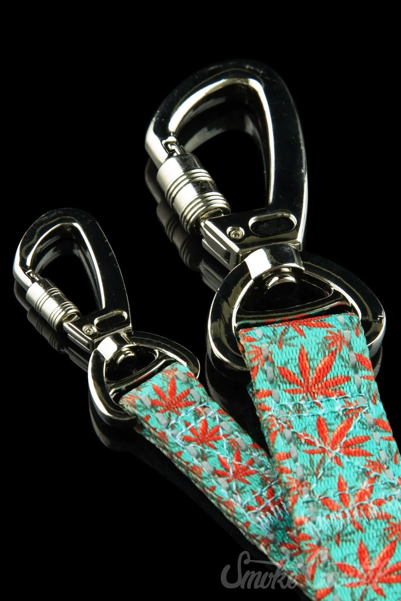 HeadyPet 6 Foot Leash