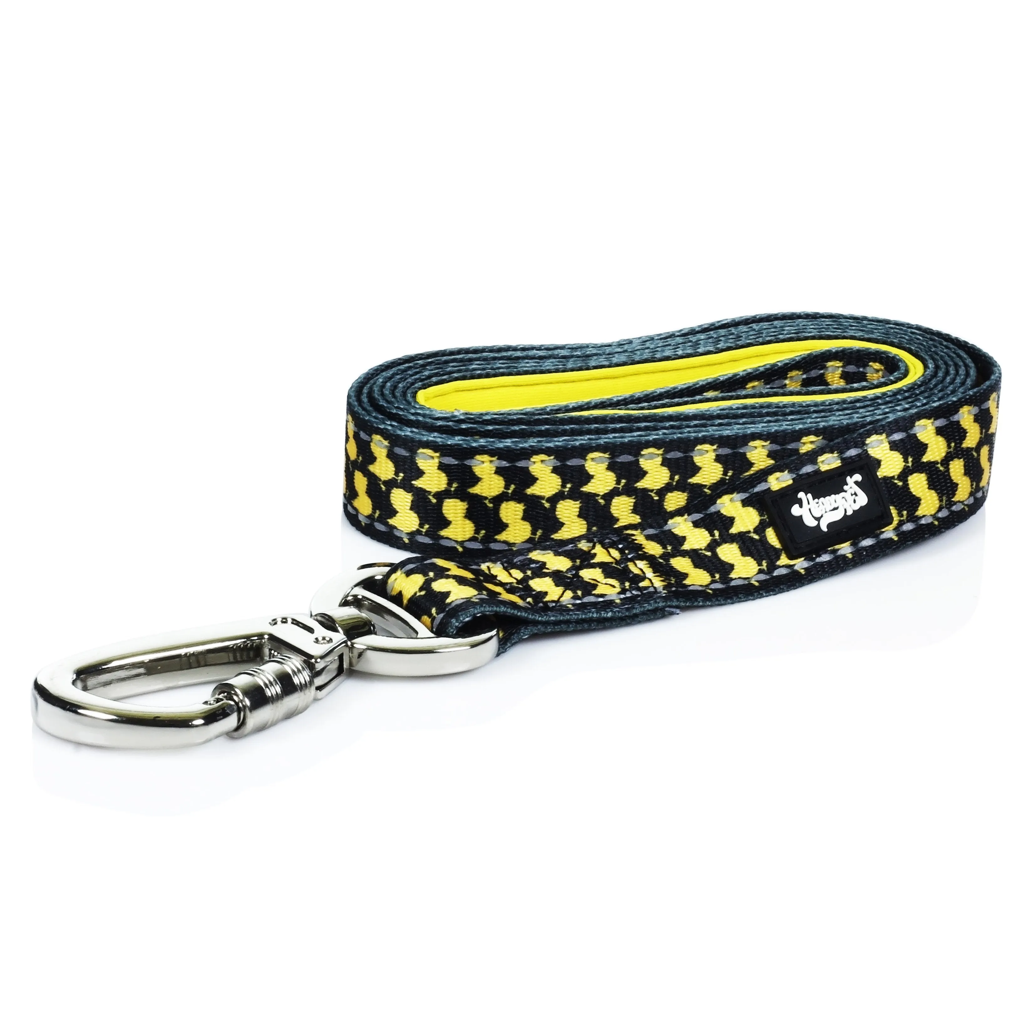 HeadyPet 6 Foot Leash