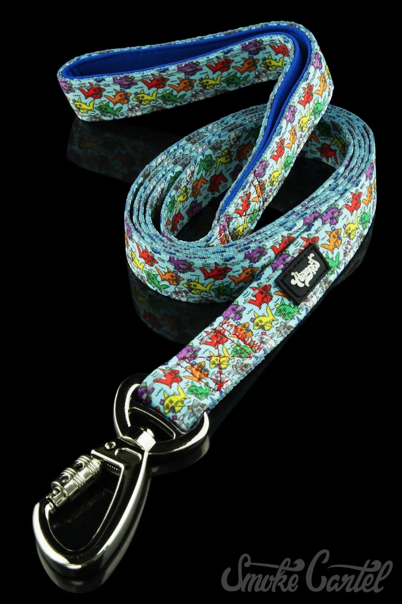 HeadyPet 6 Foot Leash