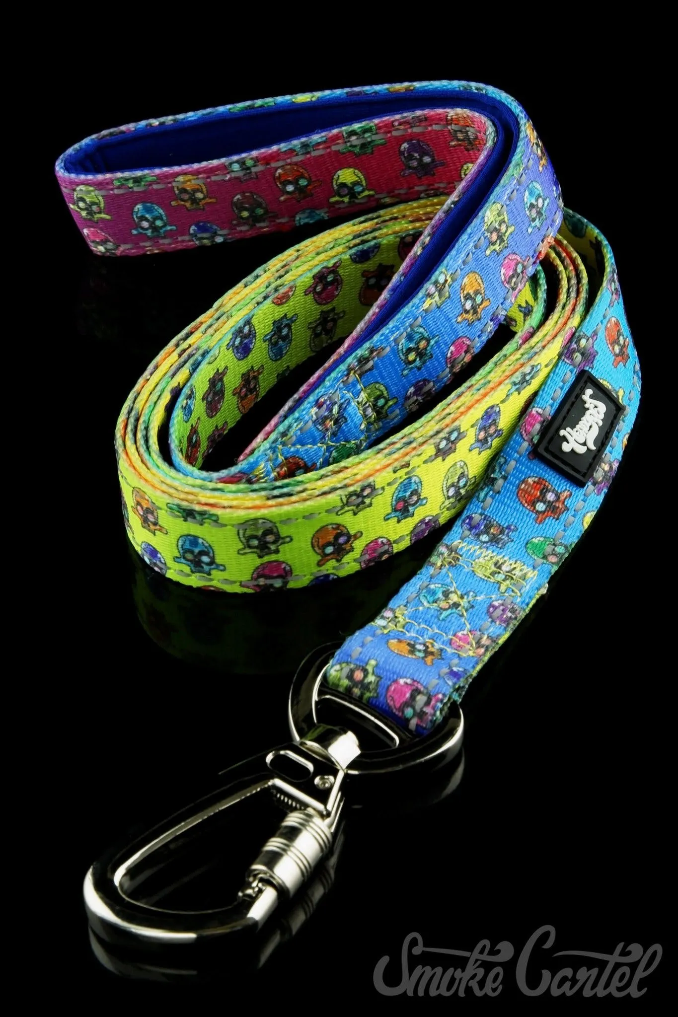 HeadyPet 6 Foot Leash