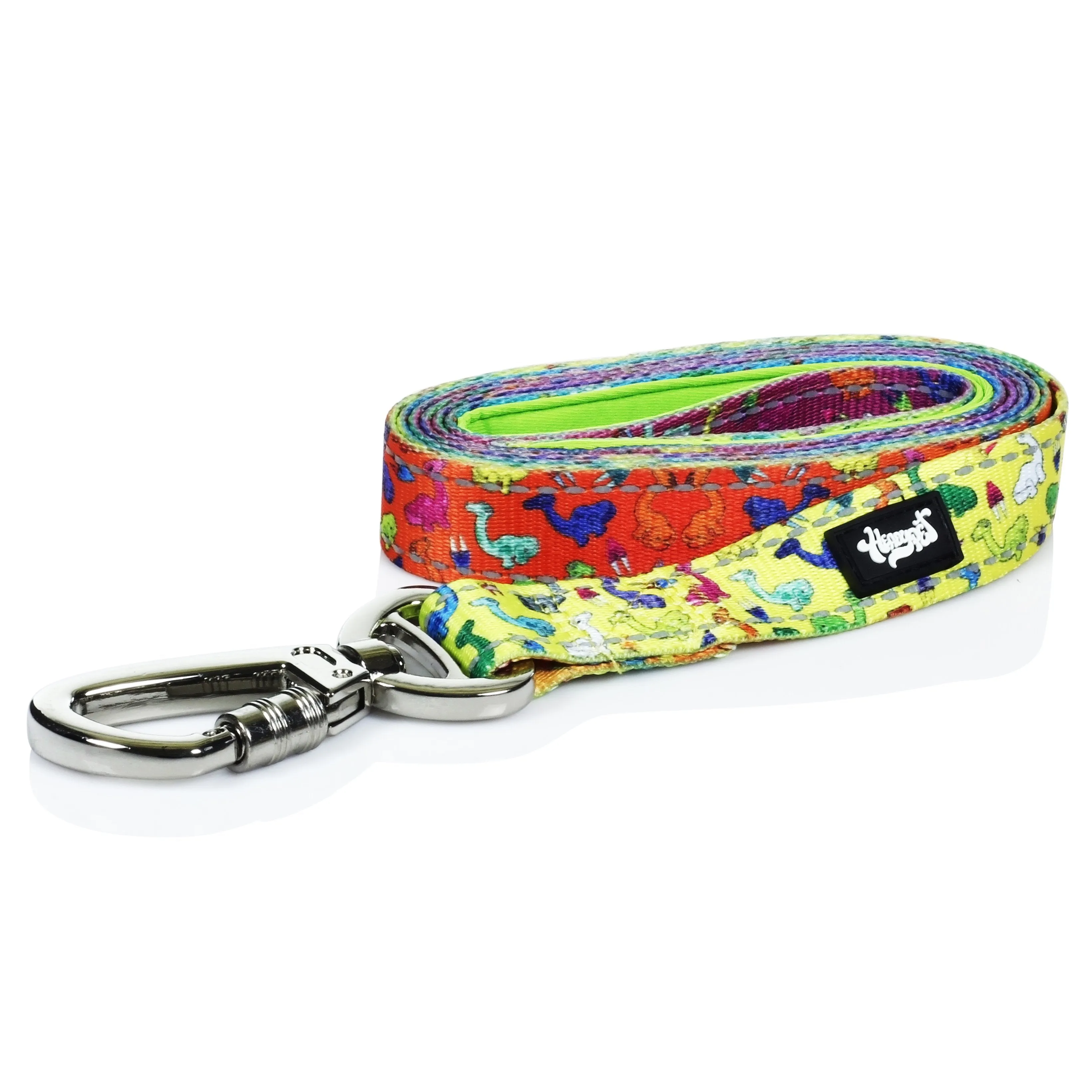 HeadyPet 6 Foot Leash