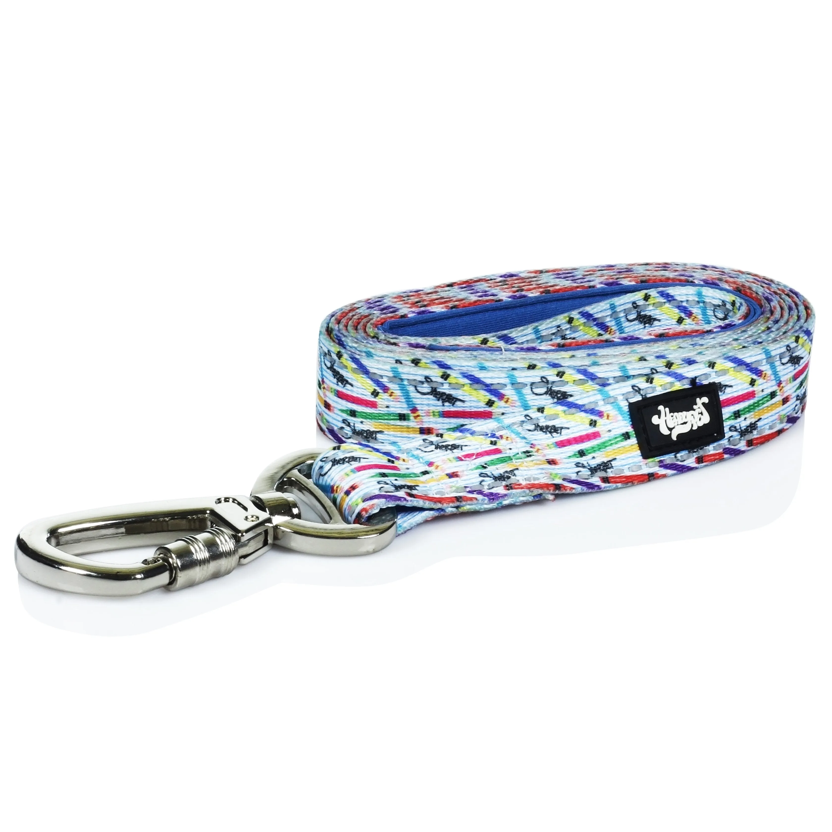 HeadyPet 6 Foot Leash