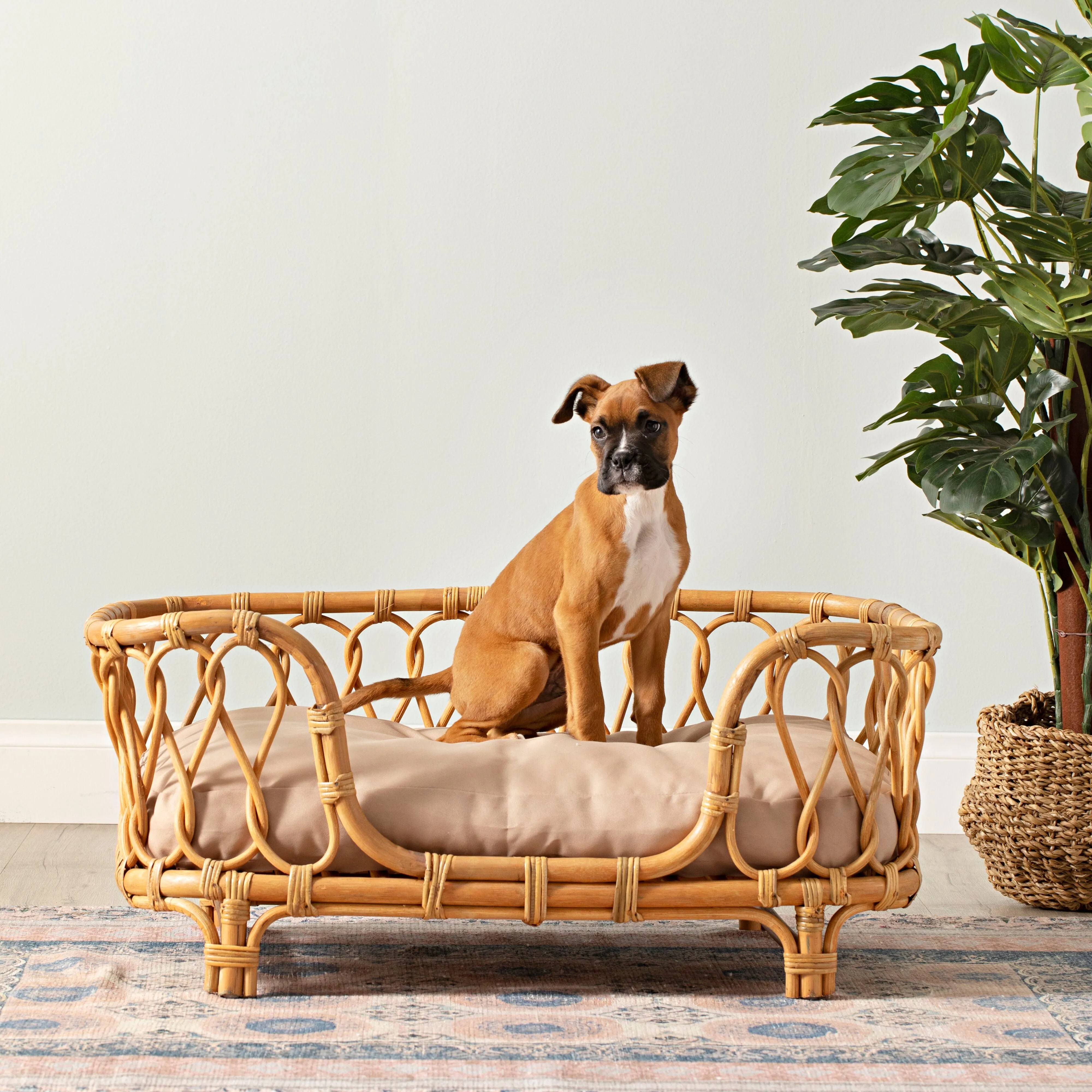 Kahlua Twist Rattan Pet Bed 90x55x40cm