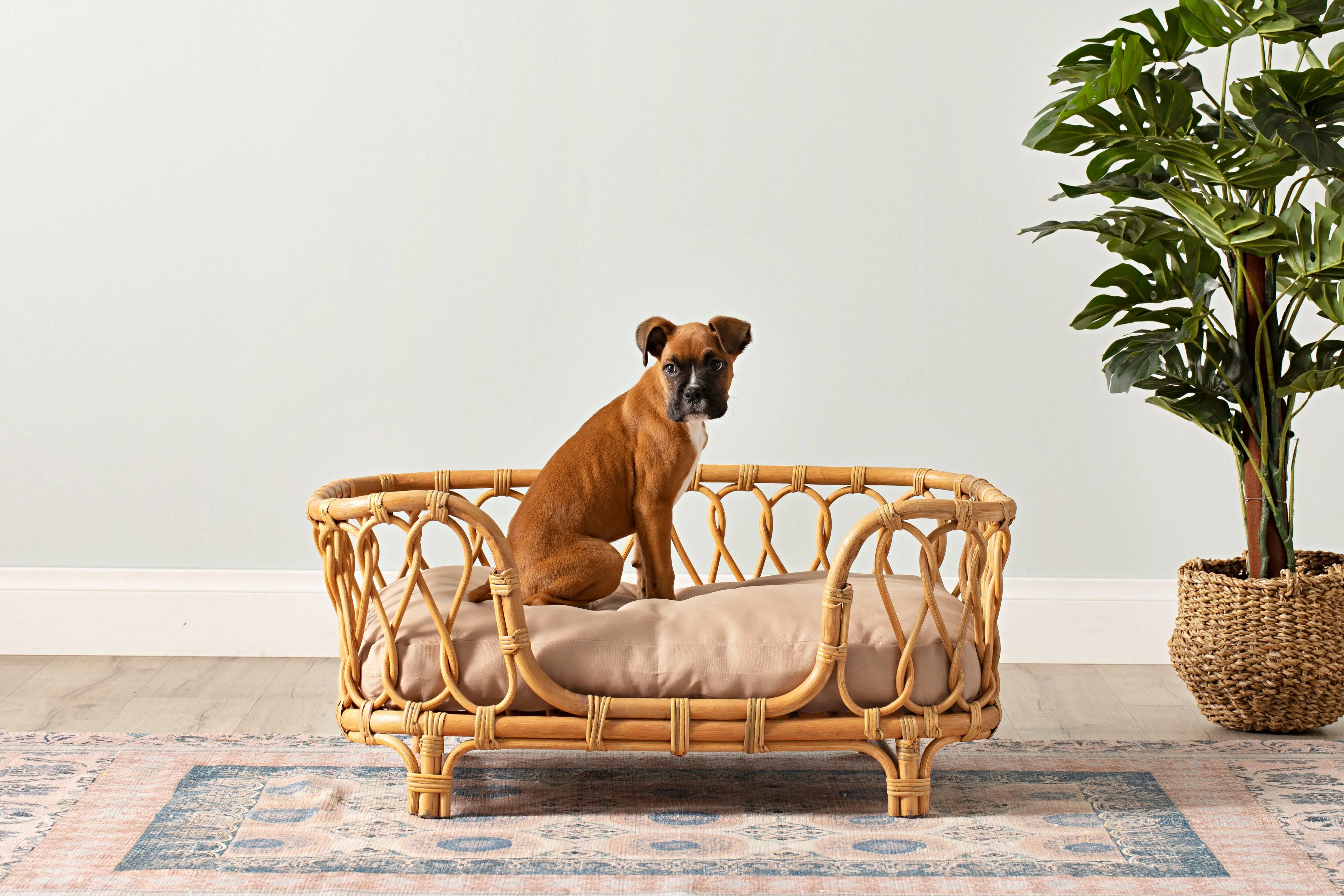 Kahlua Twist Rattan Pet Bed 90x55x40cm