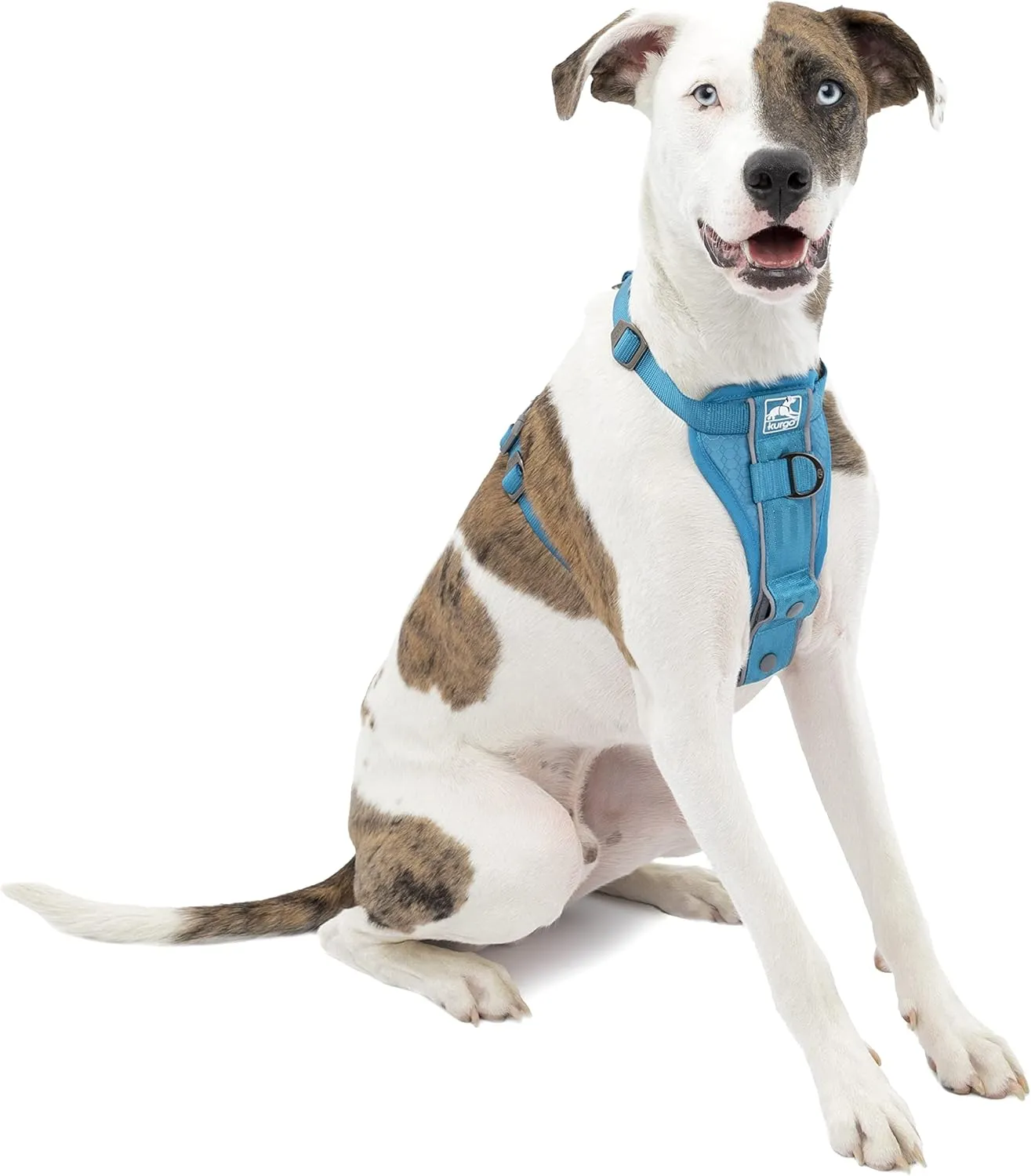 Kurgo Tru-Fit Smart Harness, Dog Harness, Pet Walking Harness, Quick Release Buckles, Front D-Ring for No Pull Training, Includes Dog Seat Belt Tether (Blue, Medium)