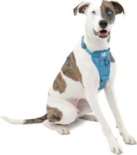Kurgo Tru-Fit Smart Harness, Dog Harness, Pet Walking Harness, Quick Release Buckles, Front D-Ring for No Pull Training, Includes Dog Seat Belt Tether (Blue, Medium)