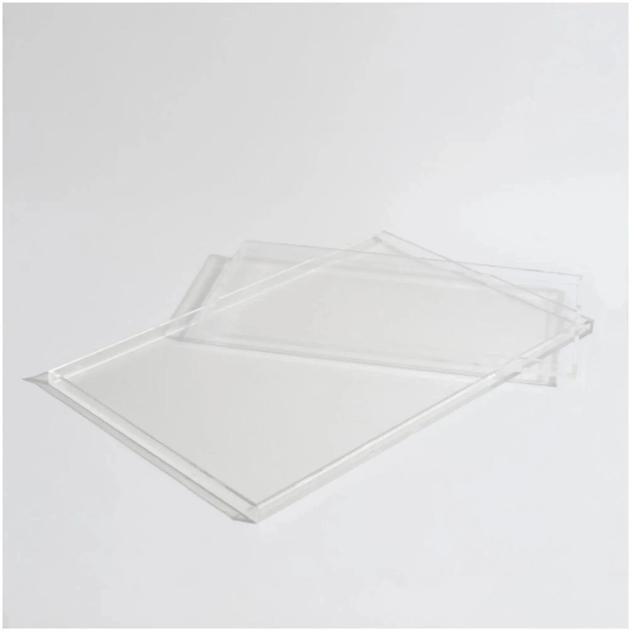 Large Clear Overflow Feeder Tray