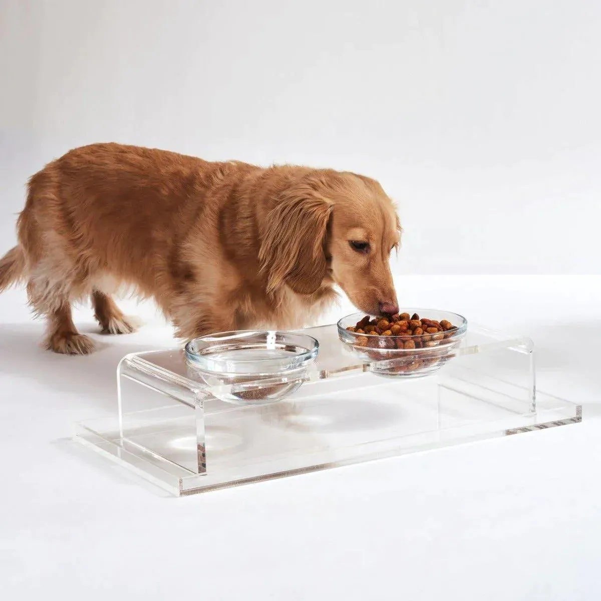Large Clear Overflow Feeder Tray