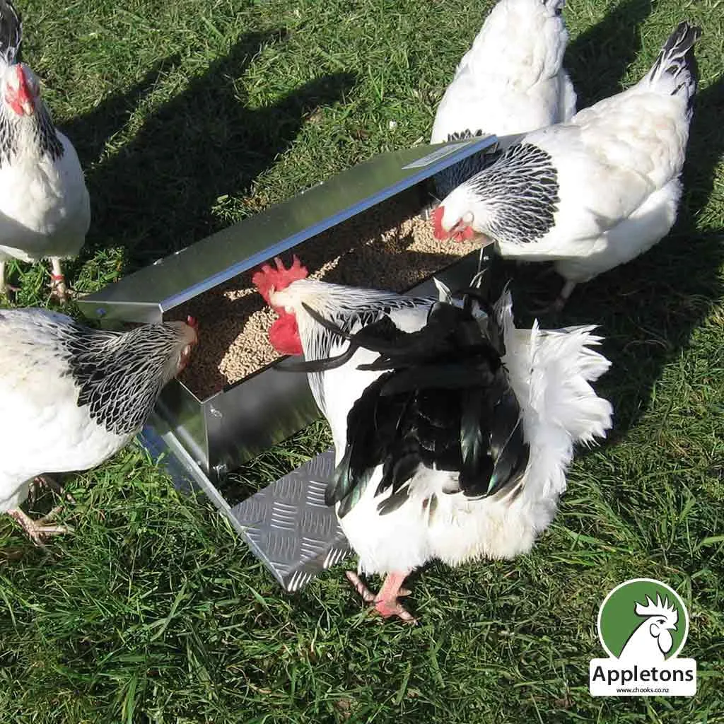 Large Step On Feeder 12kg | Appletons