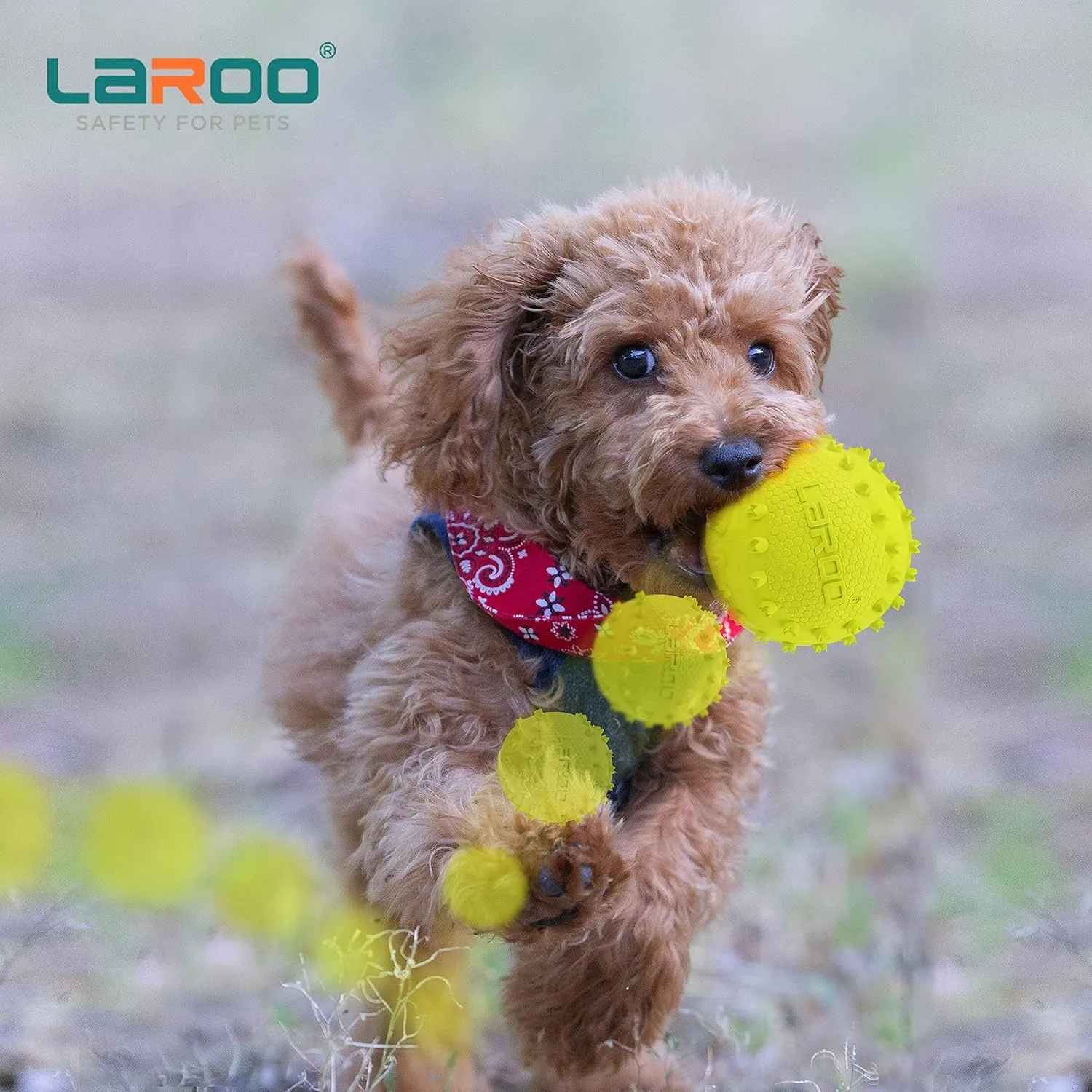 LaRoo Squeaky Dog Ball Toy, Durable Natural Rubber Squeaker Ball Floating Throwing Training, Teeth Cleaning Chew Toy for Pet Small Medium Large Dogs (6.5CM Green)