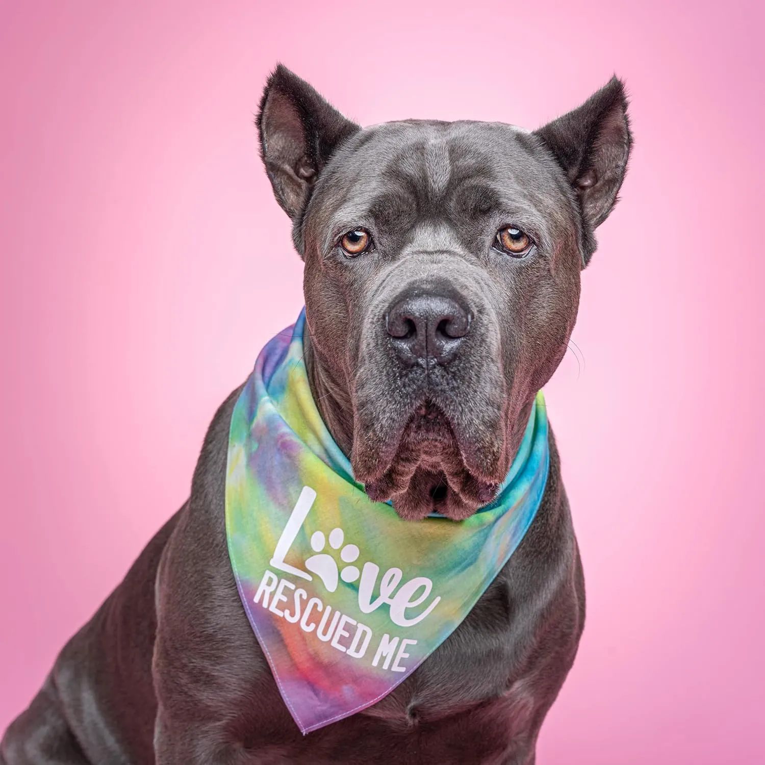 Love Rescued Me Dog Bandana | 100% Cotton Adjustable Triangle | Adoption Event Prop Photoshoot | Rescue | Puppy | New Dog |Hot Pink, One Size (164)