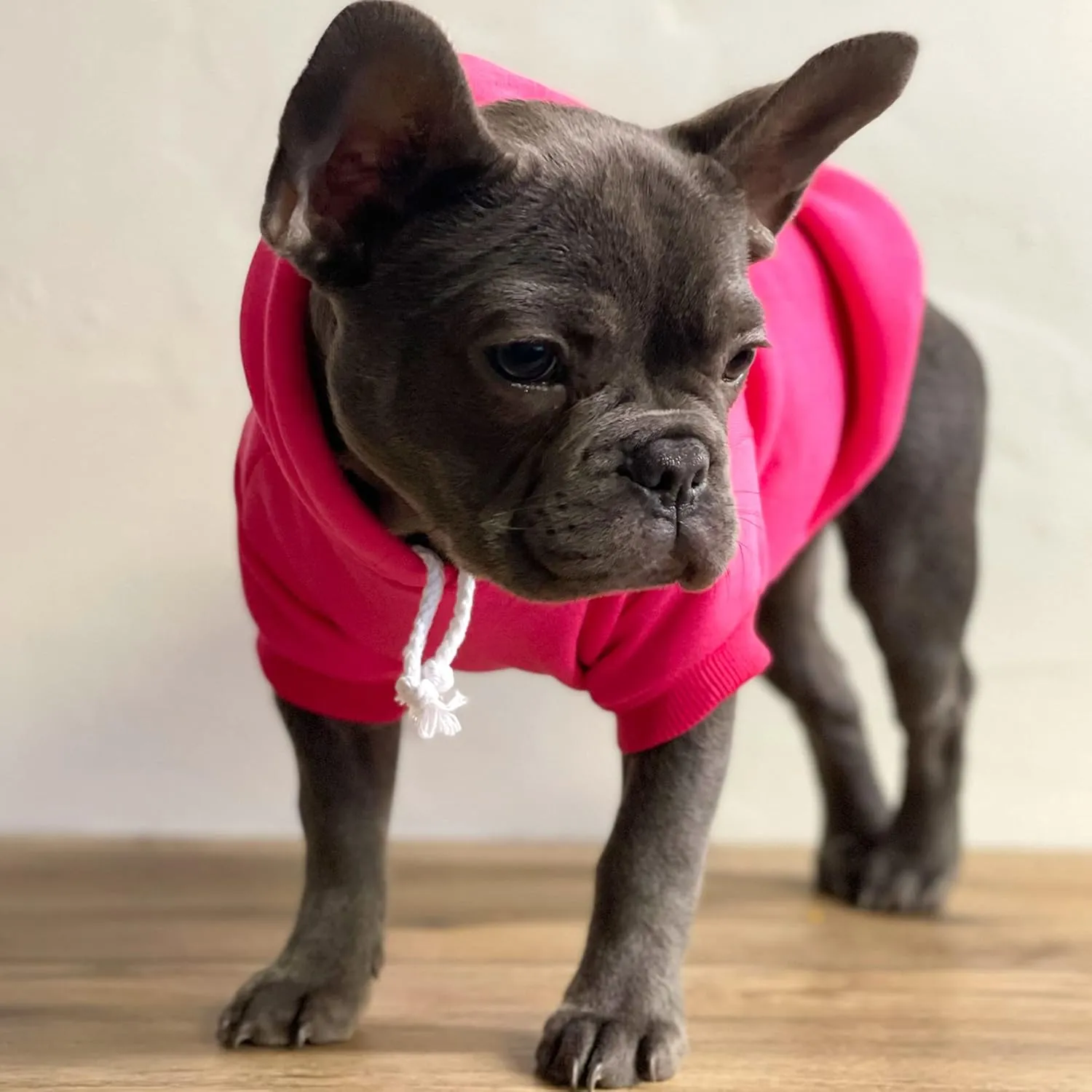My Human is Wrapped Around My Little Paw Valentine's Day Dog Hoodie Fleece Lined Pullover Sweatshirt with Leash Hole (Red, Large 103)