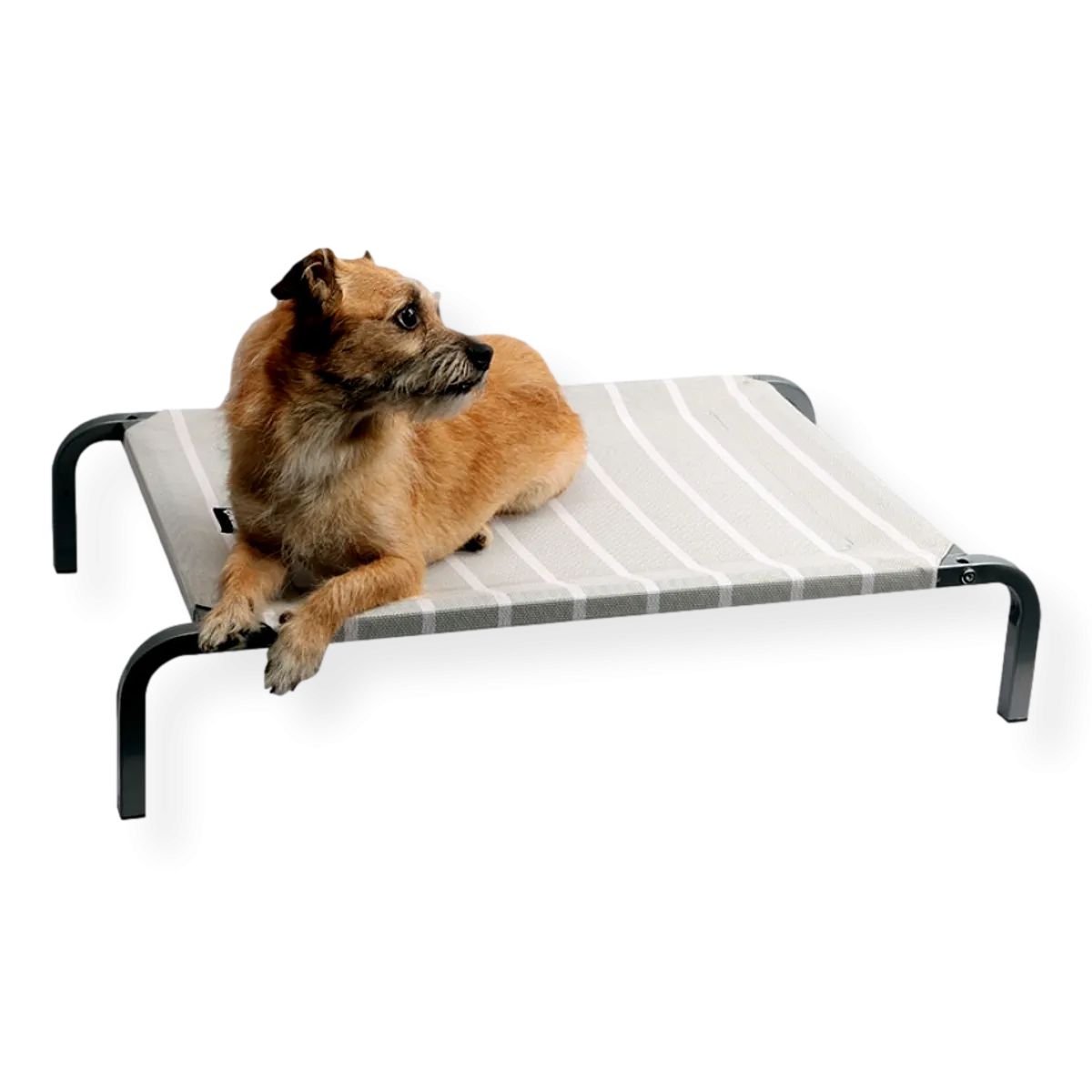 Pet One Leisure Raised Dog Bed Grey & White Small