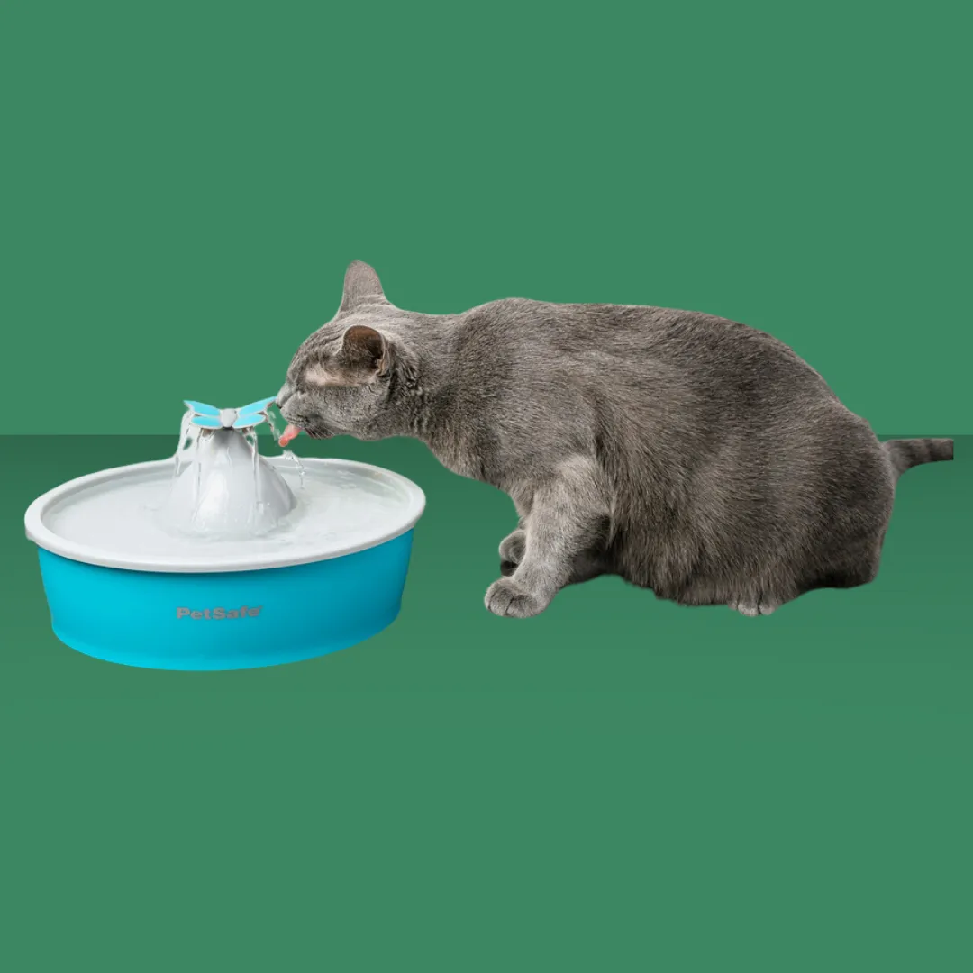 PetSafe DrinkWell Butterfly Fountain 50oz S