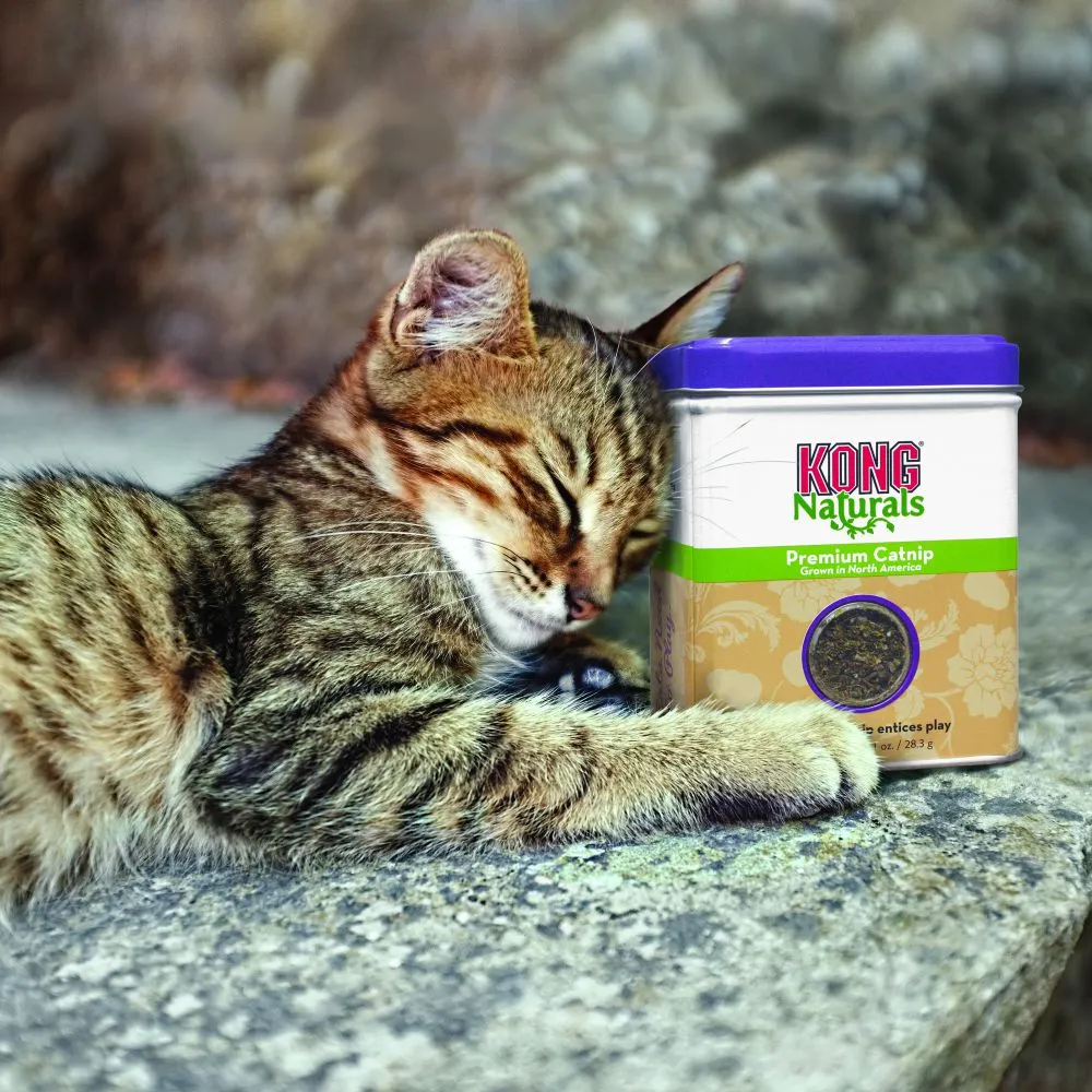 Premium Catnip CN2