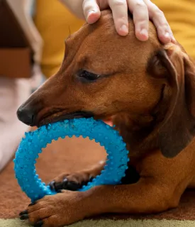 Rubber ring
