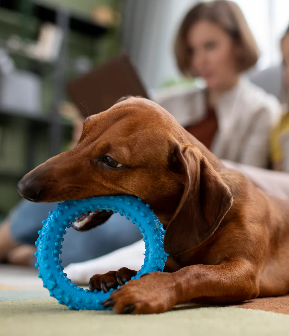 Rubber ring