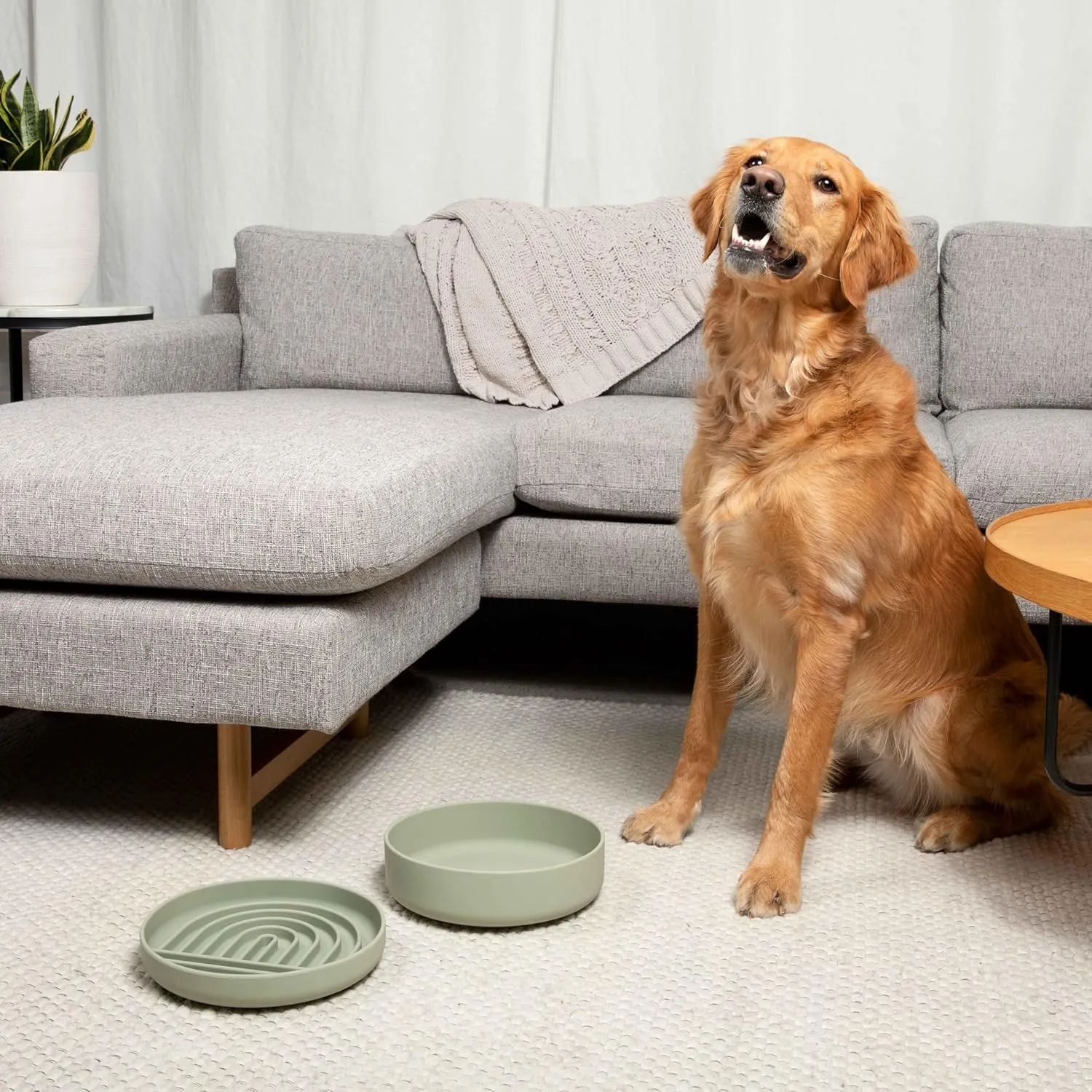 The Perfect Dish - Durable Dog Water Bowl - No Spill - Less Mess Non-Tippable Water & Food Bowl, Pure Silicone, Spill Proof with Suction Cup, Suitable for All Pets, Large-Sage