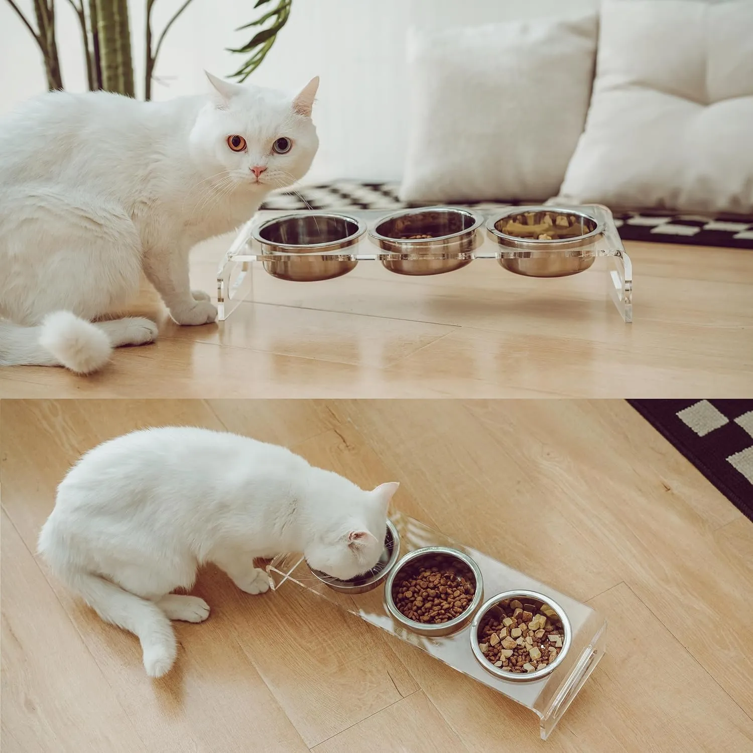 Tilted Raised Elevated Food and Water Bowls Stand for Cat or Small Dogs - Puppy's Clear Acrylic Stainless Steel 3 Dishes Holder for Boy or Girl Pet by WBhonghui (Clear-3bowls)