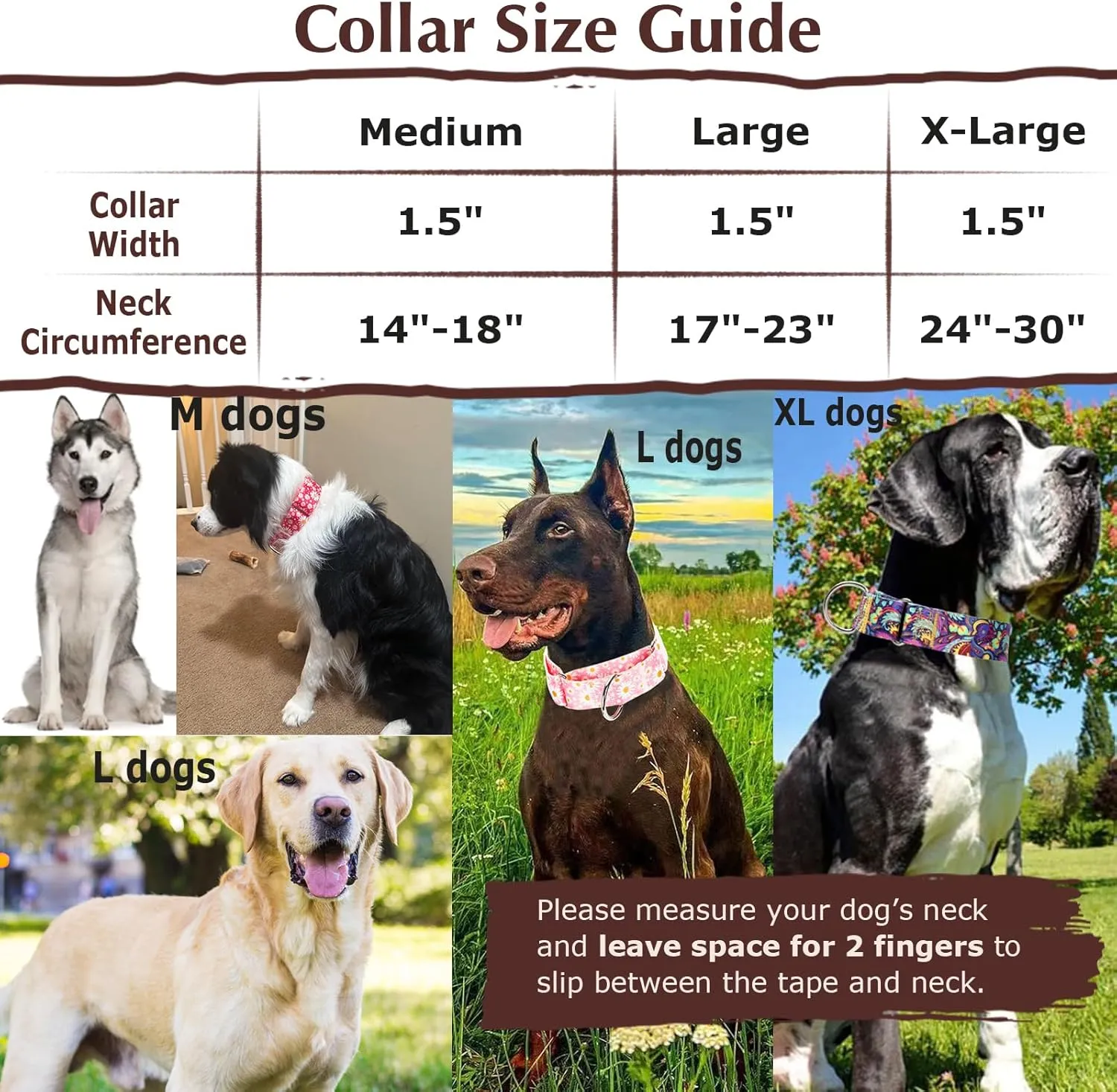 Wide 1.5 inch Martingale Collar for Medium Dogs,Big Thick Dog CollarNo-Slip Escape Proof Choke No Pull Cinch for Male and Female Dogs for Training & Walking -Bohemia Flowers M