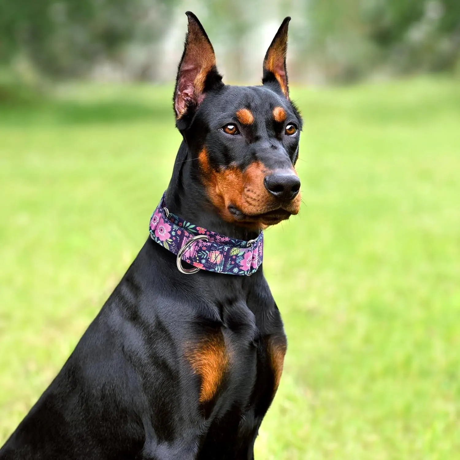 Wide 1.5 inch Martingale Collar for Medium Dogs,Big Thick Dog CollarNo-Slip Escape Proof Choke No Pull Cinch for Male and Female Dogs for Training & Walking -Bohemia Flowers M